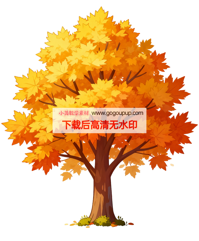 枫树秋天插画彩色树叶