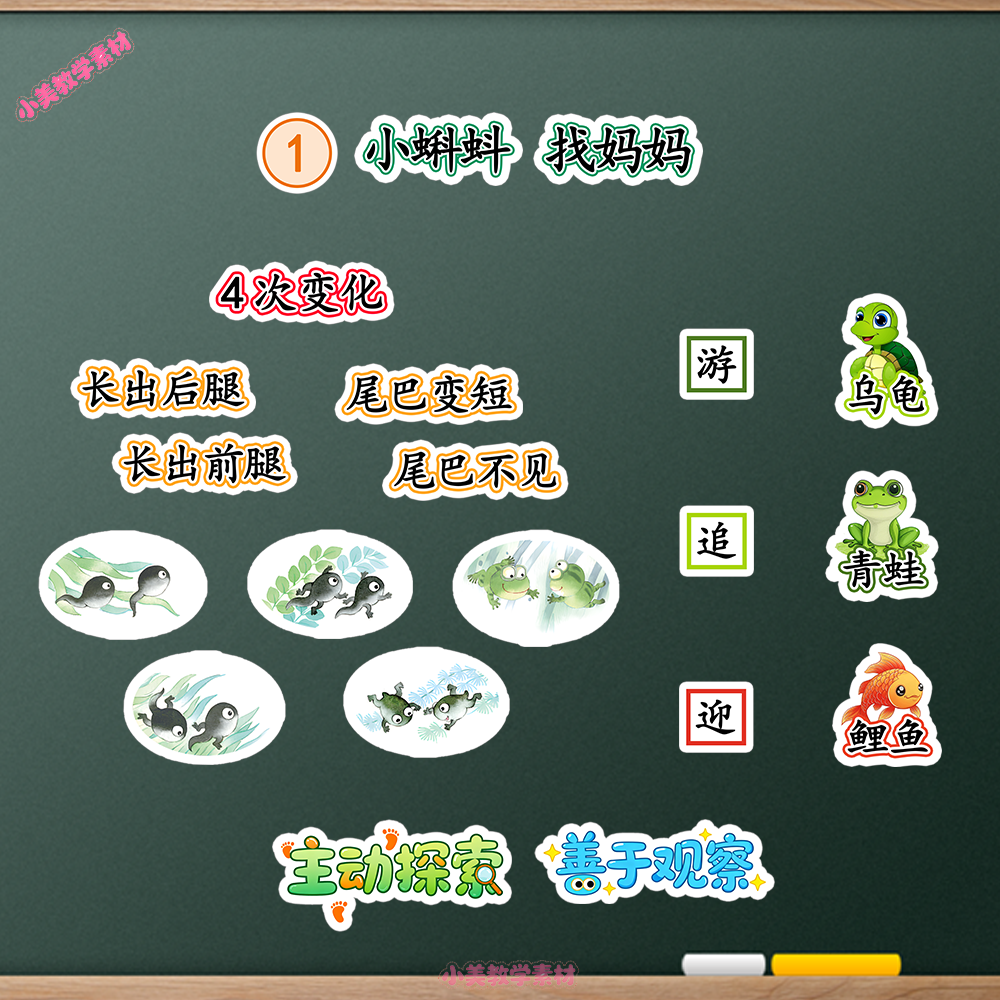 《小蝌蚪找妈妈》小学二年级上册语文公开课赛课板贴模板 板书设计电子版PDF