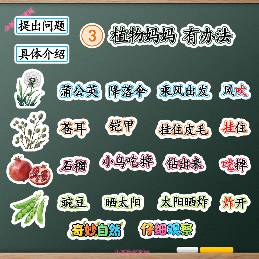 《植物妈妈有办法》小学二年级上册语文公开课赛课板贴模板 板书设计电子版PDF