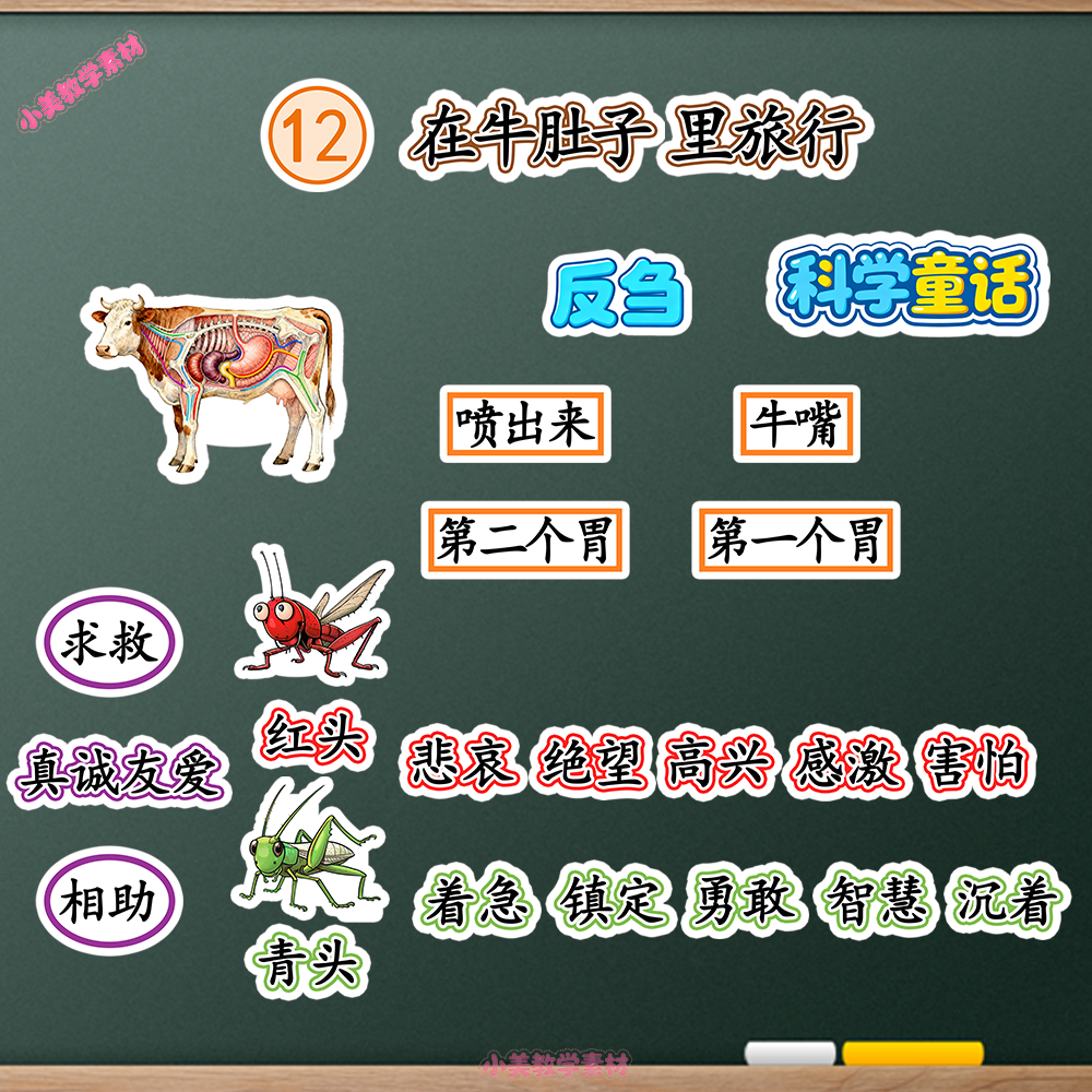 《在牛肚子里旅行》小学三年级上册语文公开课赛课板贴模板 板书设计电子版PDF