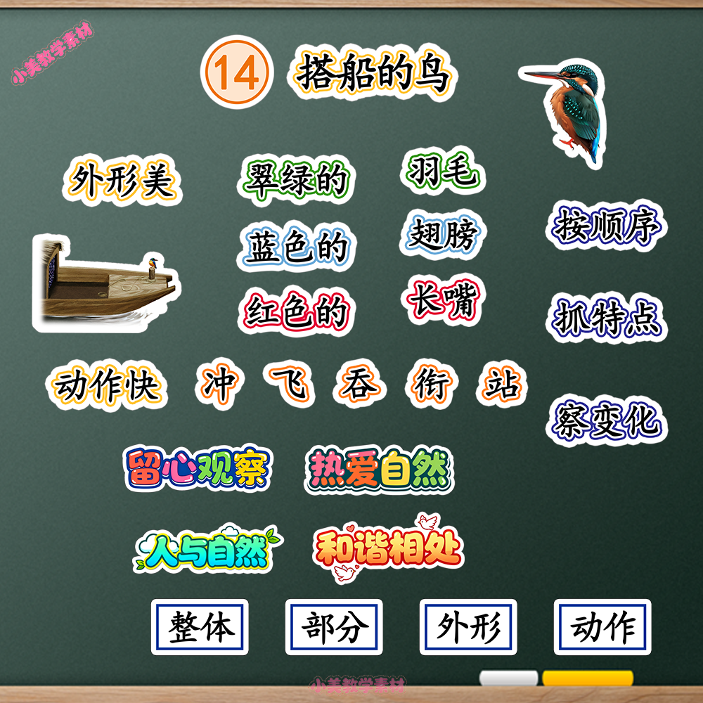 《搭船的鸟》小学三年级上册语文公开课赛课板贴模板 板书设计电子版PDF